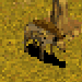 Hyena