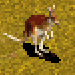 Kangaroo