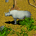 Rhino